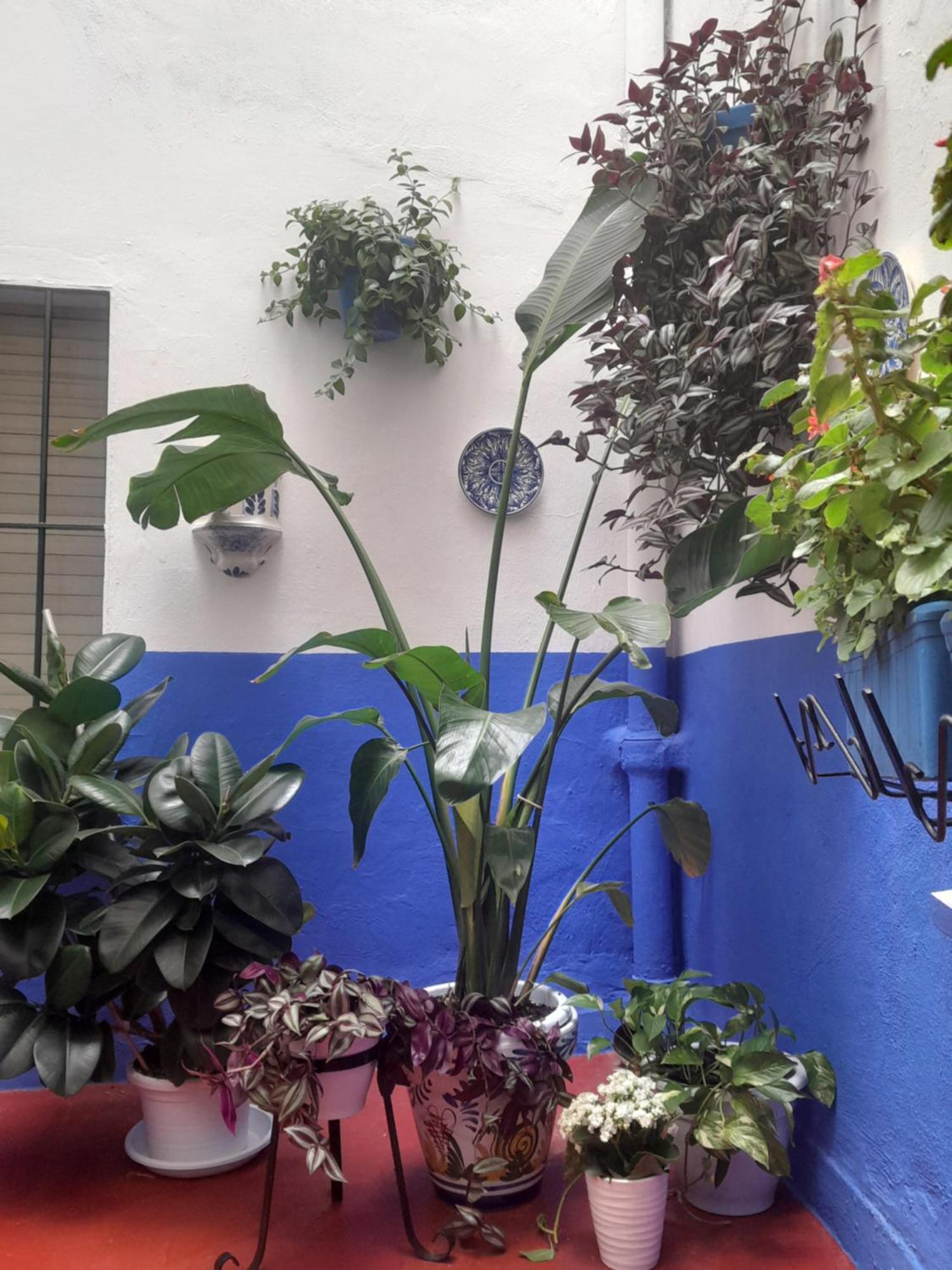 Puerta Sevilla Parking Gratis Appartement