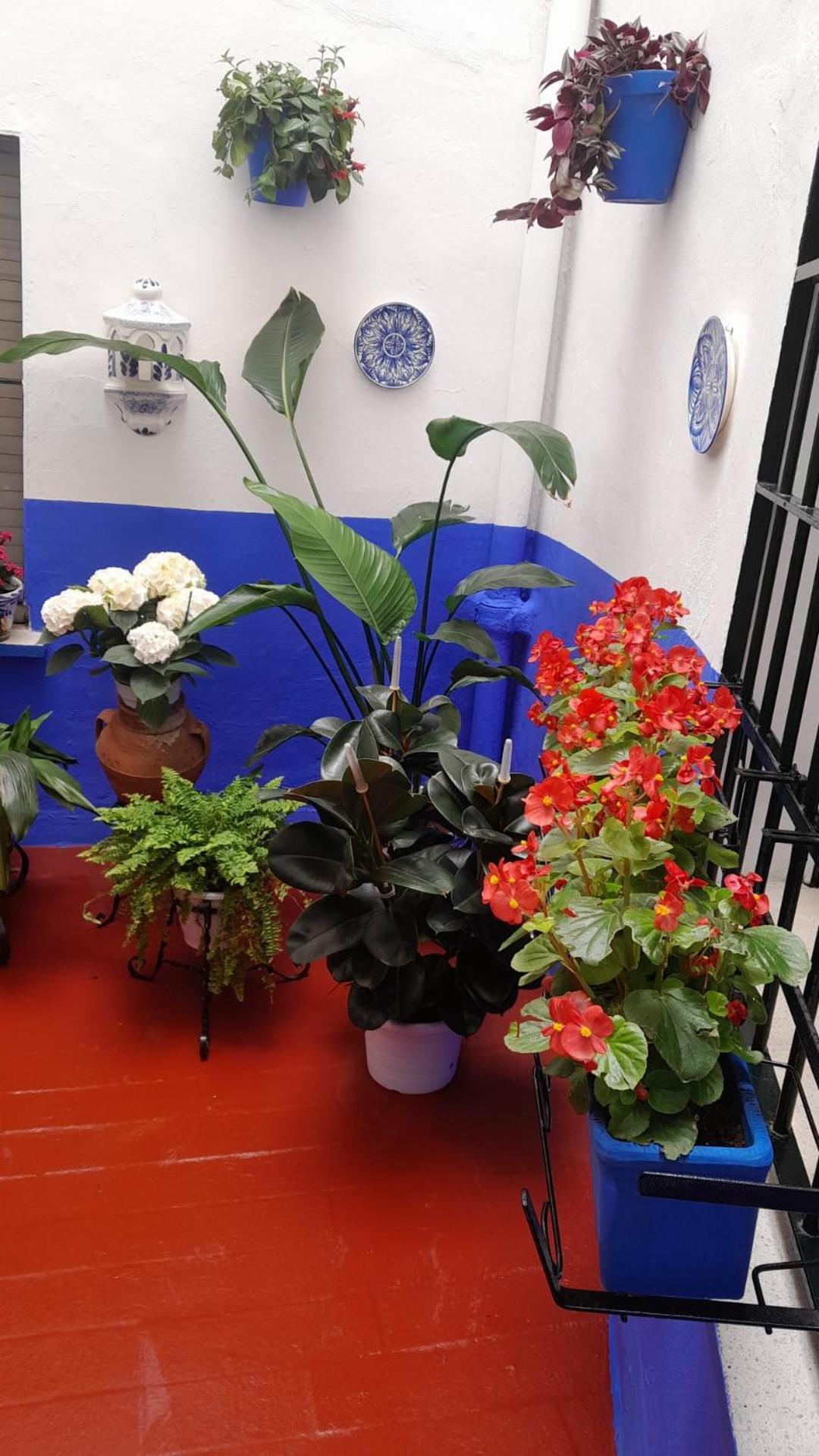 Puerta Sevilla Parking Gratis Apartament